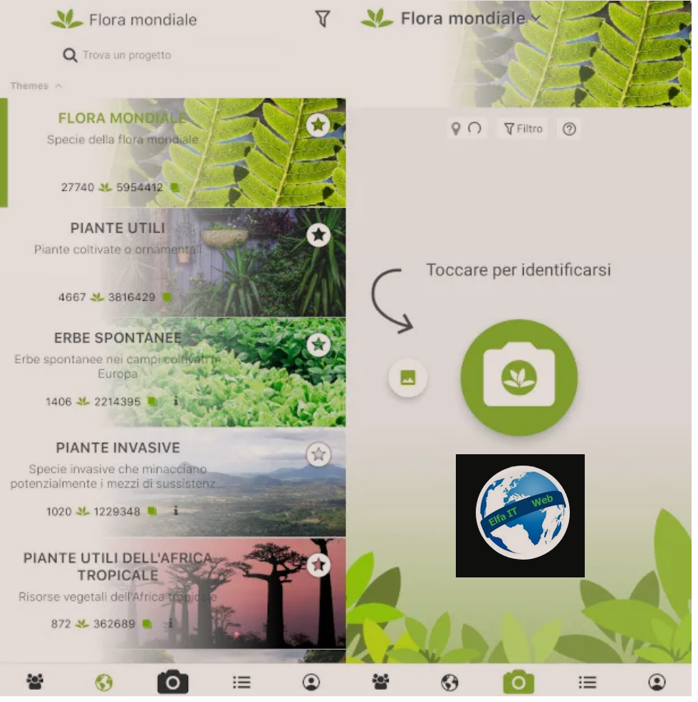 App per te njohur bimet pemet