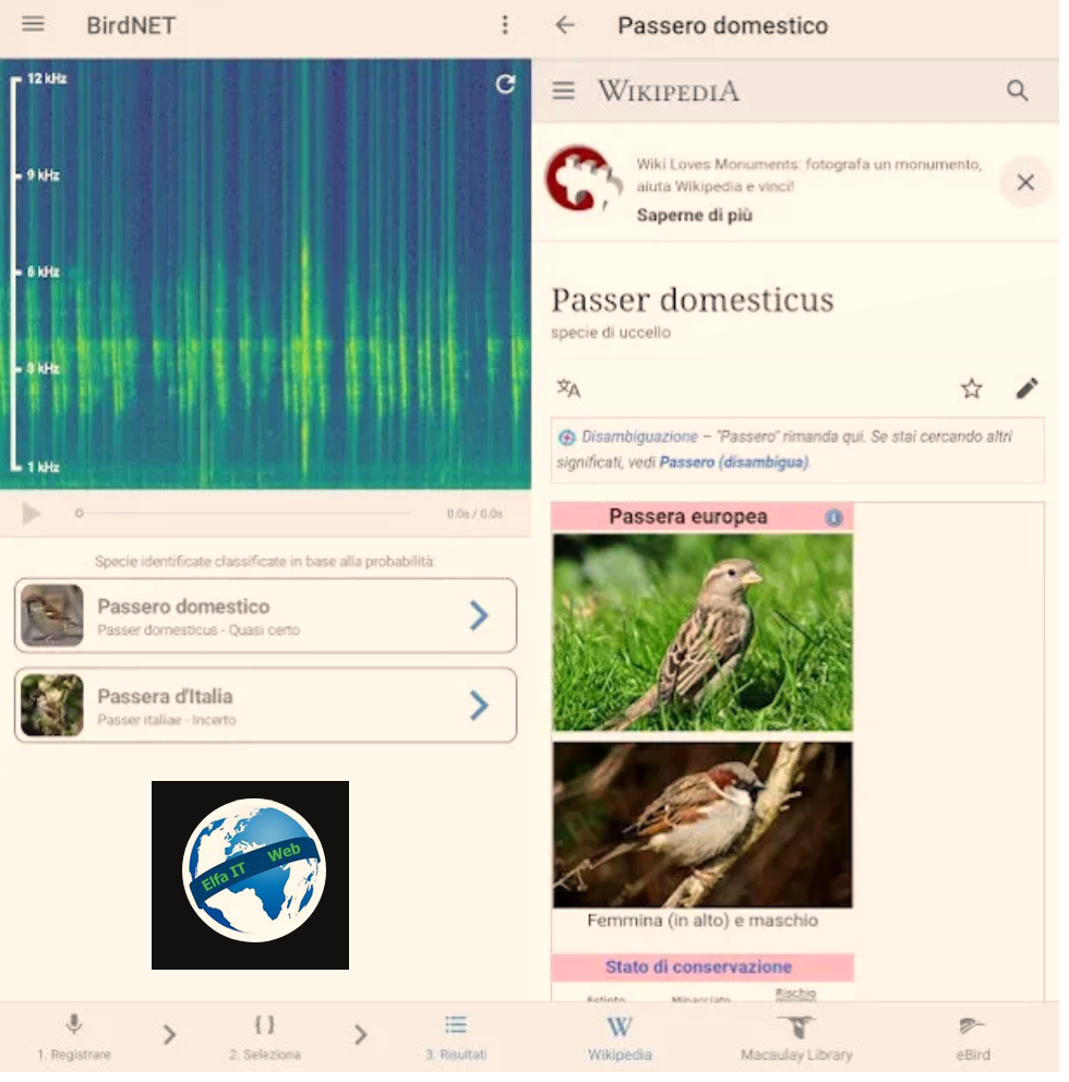 App per te njohur zogjte 